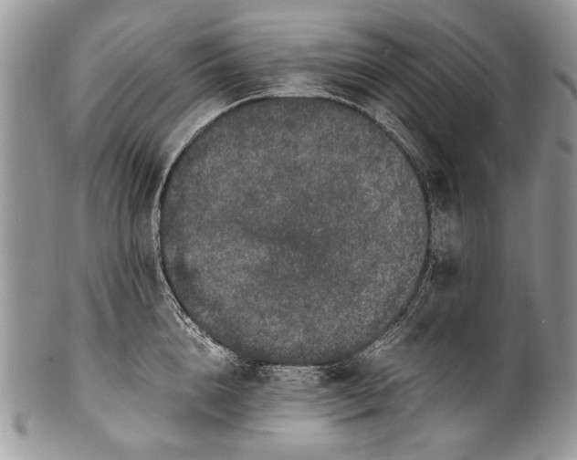 X0000100350856200806201539