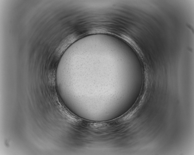 X0000100350857200806201539