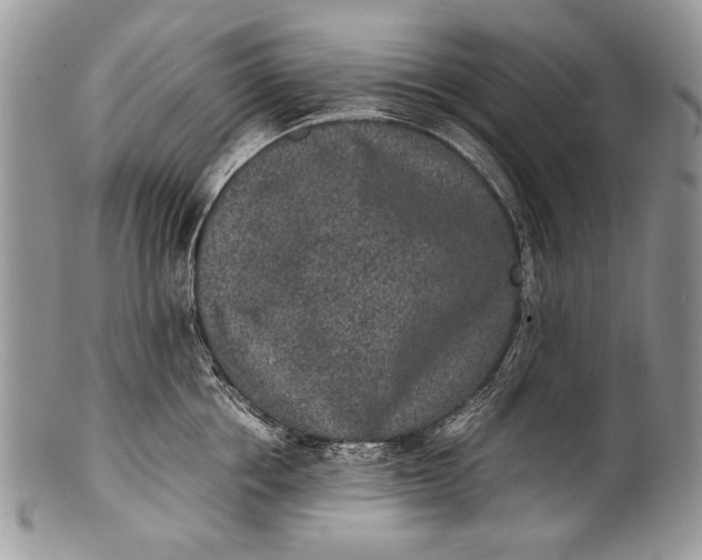 X0000100350858200806201539