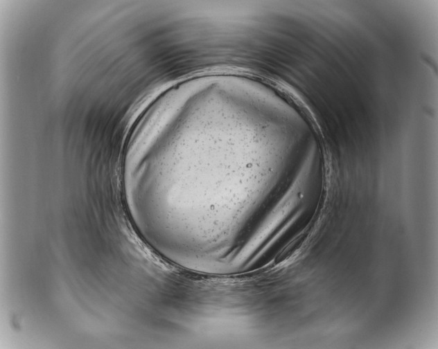 X0000100350860200806201540
