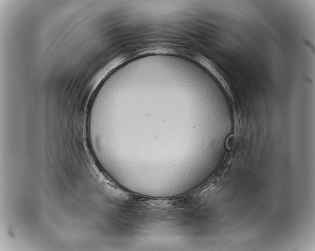 X0000100350861200806201540