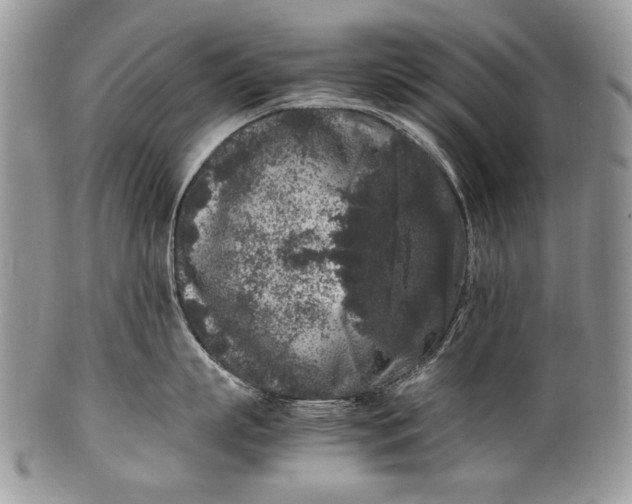 X0000100350863200806201540