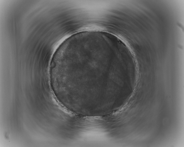 X0000100350864200806201540