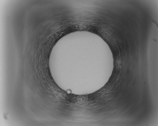 X0000100350865200806201539