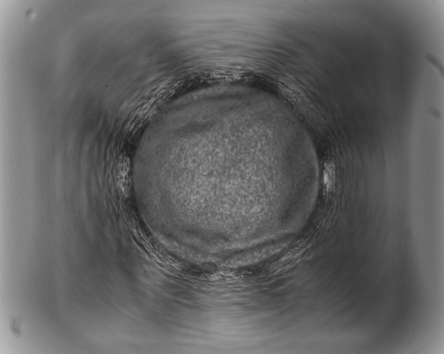 X0000100350867200806201539