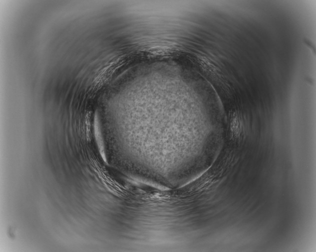 X0000100350868200806201539