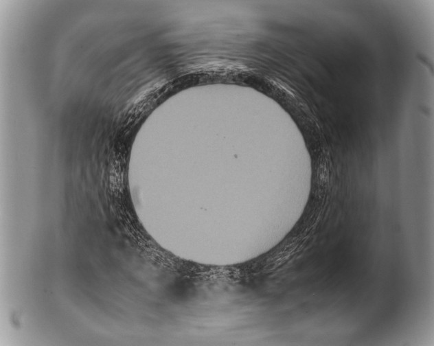 X0000100350869200806201539