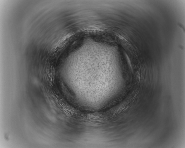 X0000100350870200806201539