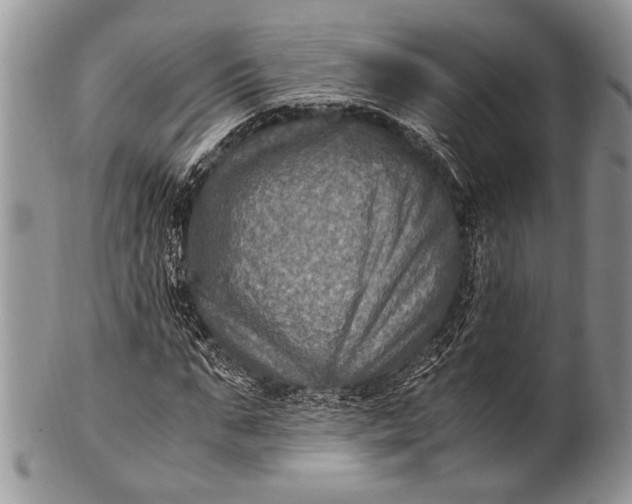 X0000100350871200806201539