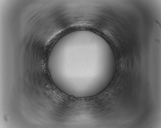 X0000100350872200806201539