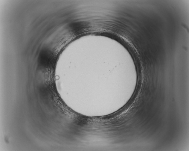 X0000100350873200806201539