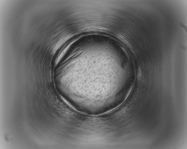 X0000100350877200806201539