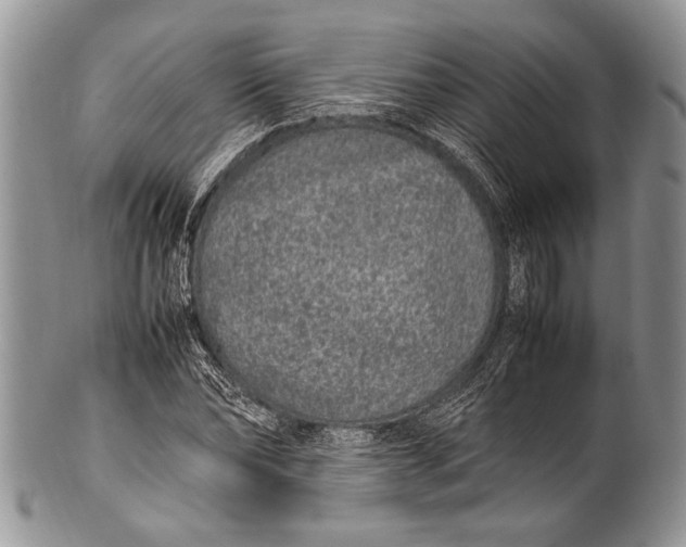X0000100350878200806201539