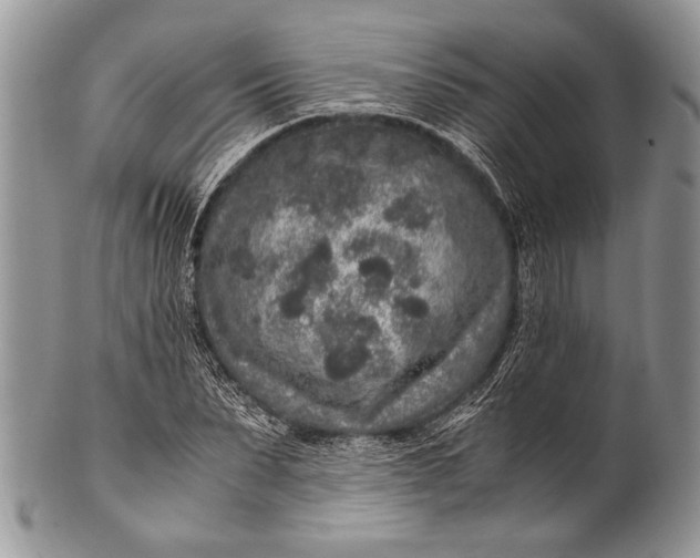 X0000100350879200806201539