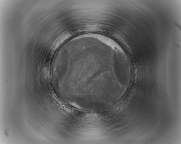 X0000100350882200806201539