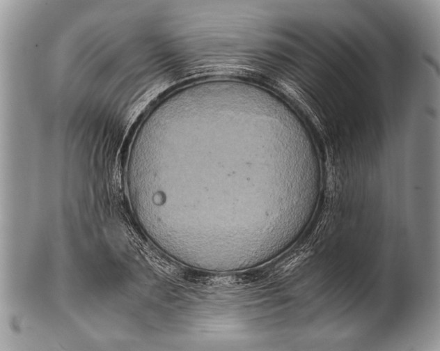 X0000100350883200806201539