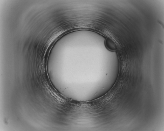 X0000100350884200806201539