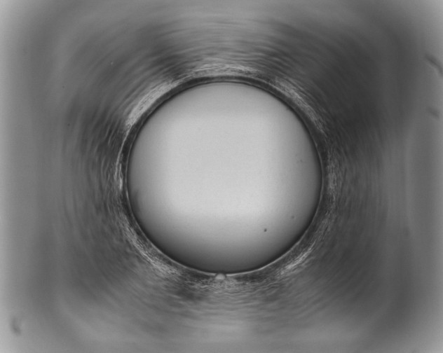 X0000100350885200806201539