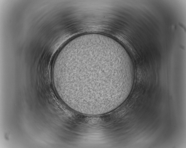 X0000100350886200806201539