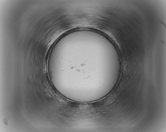 X0000100350887200806201539