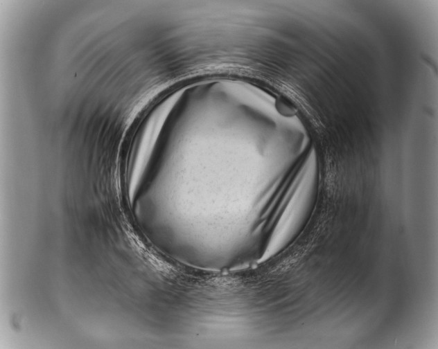 X0000100350888200806201539