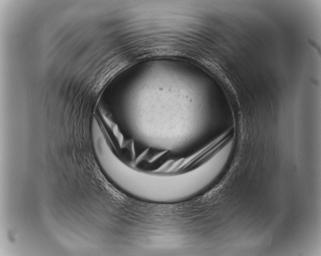 X0000100350889200806201539