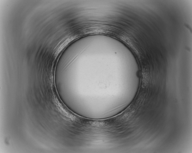 X0000100350890200806201539