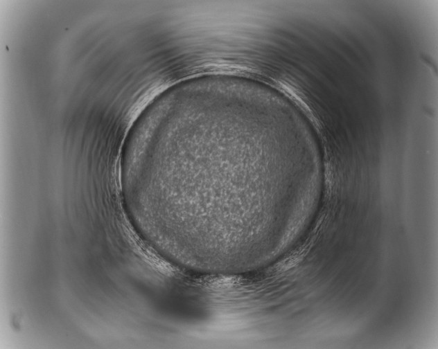 X0000100350891200806201539