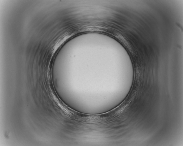X0000100350893200806201538