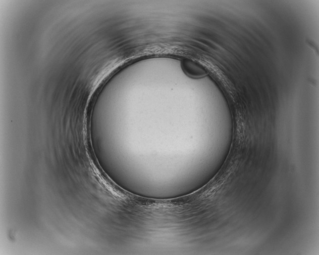 X0000100350894200806201538