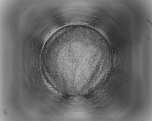 X0000100350895200806201538