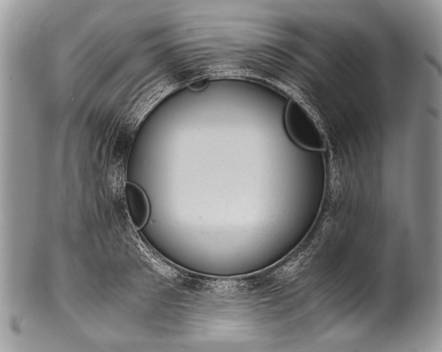 X0000100350897200806201538