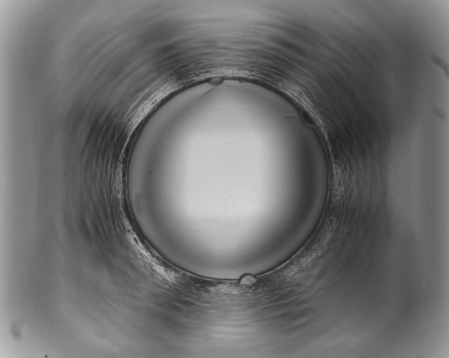 X0000100350898200806201538