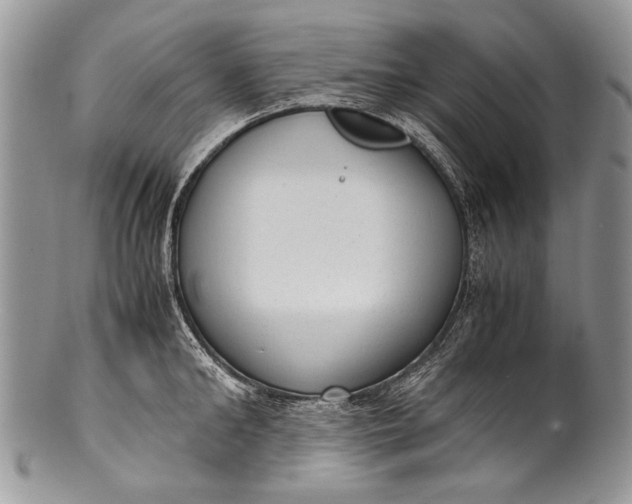 X0000100350902200806201538