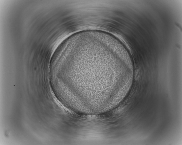 X0000100350903200806201538
