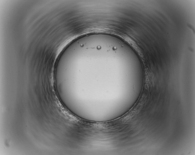 X0000100350904200806201538