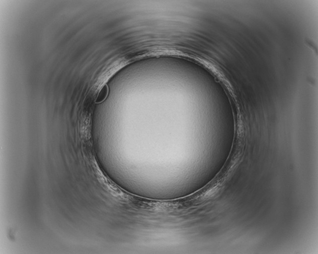 X0000100350905200806201538