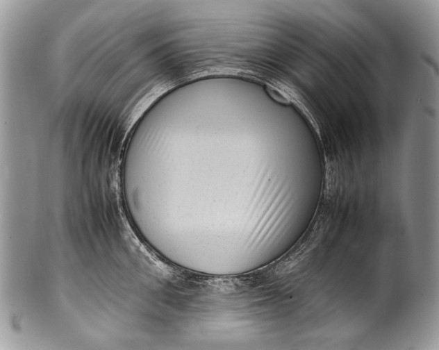 X0000100350906200806201538