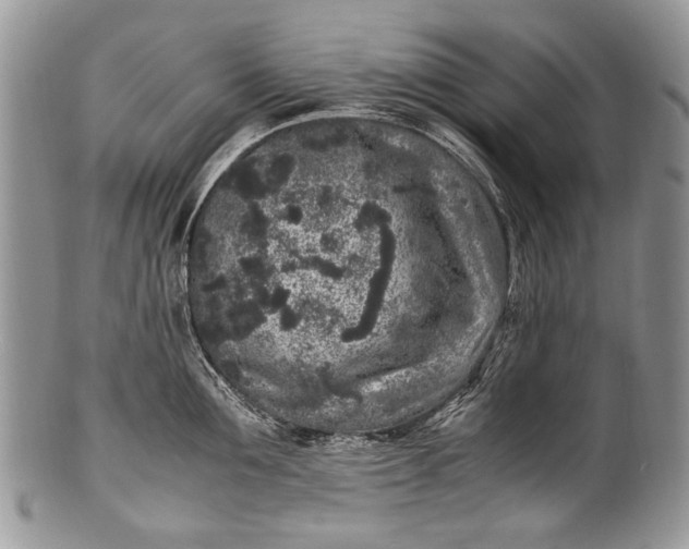 X0000100350907200806201538
