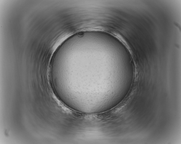 X0000100350909200806201538