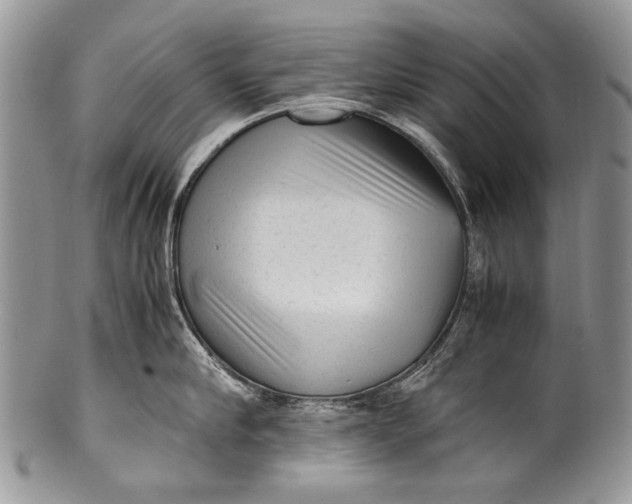 X0000100350910200806201538