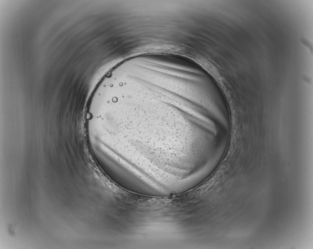 X0000100350912200806201538