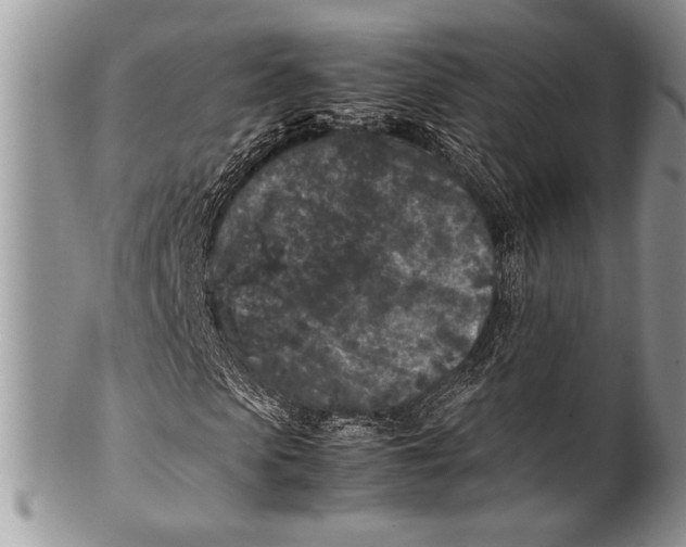 X0000100350913200806201538
