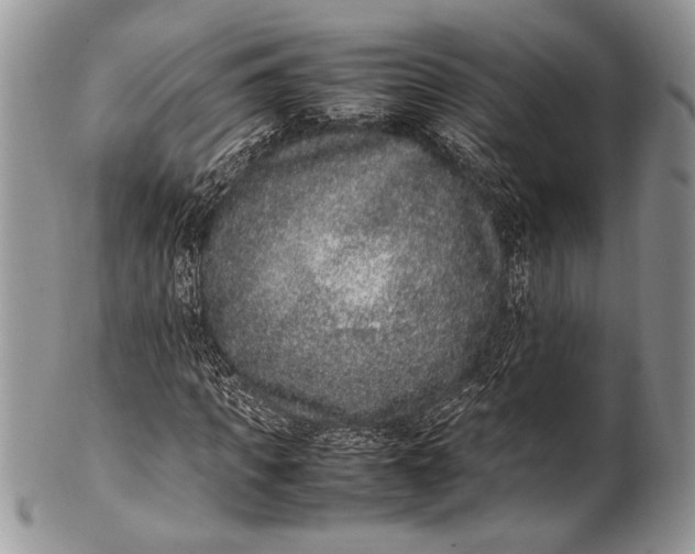 X0000100350917200806201538