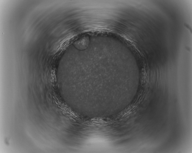X0000100350918200806201538