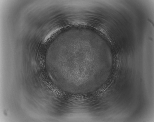 X0000100350919200806201538