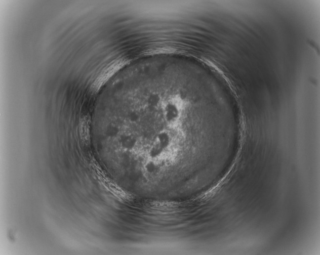 X0000100350921200806201538