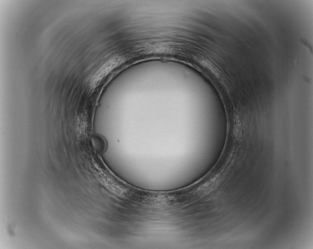 X0000100350922200806201538