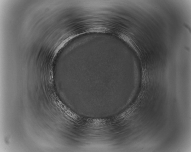 X0000100350923200806201538