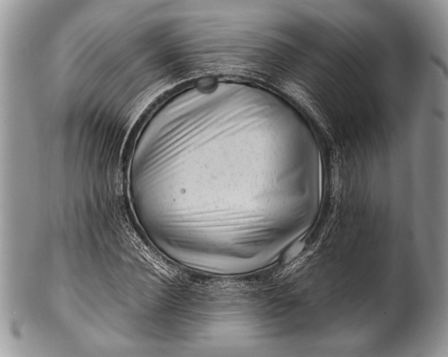 X0000100350924200806201538